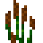 Cattails icon