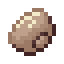 Clam icon