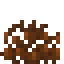 Cocoa Coral Fan icon