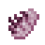 Cooked Chorus Echofin icon