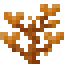 Cup Coral icon