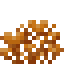 Cup Coral Fan icon