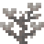 Dead Cup Coral icon