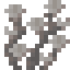 Dead Diamond Coral icon