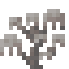 Dead Ghost Coral icon