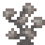 Dead Stone Coral icon