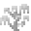 Ghost Coral icon