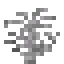 Giant Fern icon