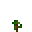 Kiwi Crop icon
