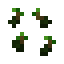 Kiwi Seeds icon