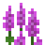 Magenta Lupine icon