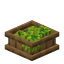 Melon Food Box icon