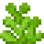 Passion Coral icon