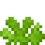 Passion Coral Fan icon