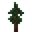 Redwood Sapling icon