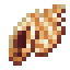 Sea Conch icon