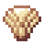 Seashell icon