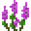 Small Magenta Lupine icon