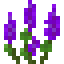 Small Purple Lupine icon