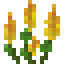 Small Yellow Lupine icon
