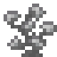 Stone Coral icon