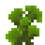 Toxic Coral icon