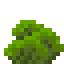 Toxic Coral Fan icon