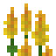 Yellow Lupine icon