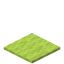Conifer Carpet icon