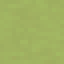 Spring Green Plate icon
