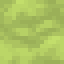 Conifer Petrified Honey icon