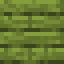 Conifer Painted Planks icon