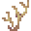 Golden Coral icon