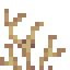 Golden Coral Fan icon