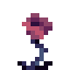 Pink Rose icon
