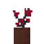 Potted Fire Orchid icon