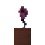 Potted Pink Rose icon