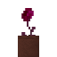 Potted Red Velvetumoss Flower icon