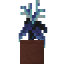 Potted Starlight Flower icon