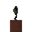 Potted Swamp Rose icon