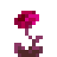 Red Velvetumoss Flower icon