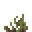 Starlight Seagrass icon