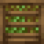 Asparagus Crate icon