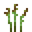 Wild Asparagus icon