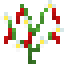 Wild Chili Pepper icon