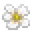 Flower Light icon