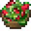 Farmer Salad icon