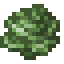 Cabbage icon