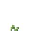 Cabbage Crop icon