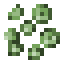Cabbage Seeds icon